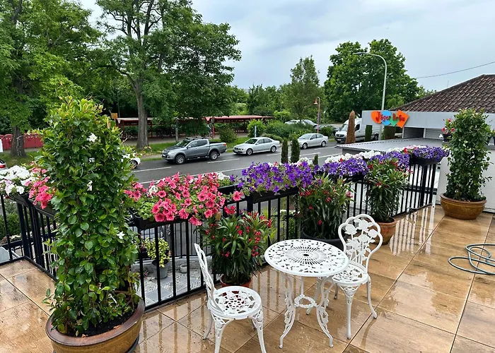 Gaestehaus Linh Hotel Edenkoben